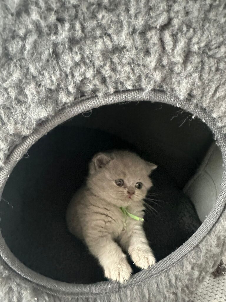 WhatsApp Image 2024-06-19 at 19.41.44