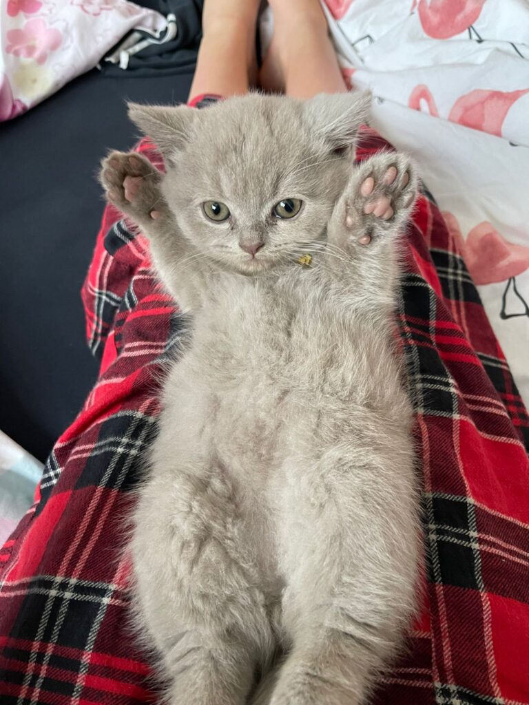 WhatsApp Image 2024-06-19 at 19.41.46 kopie