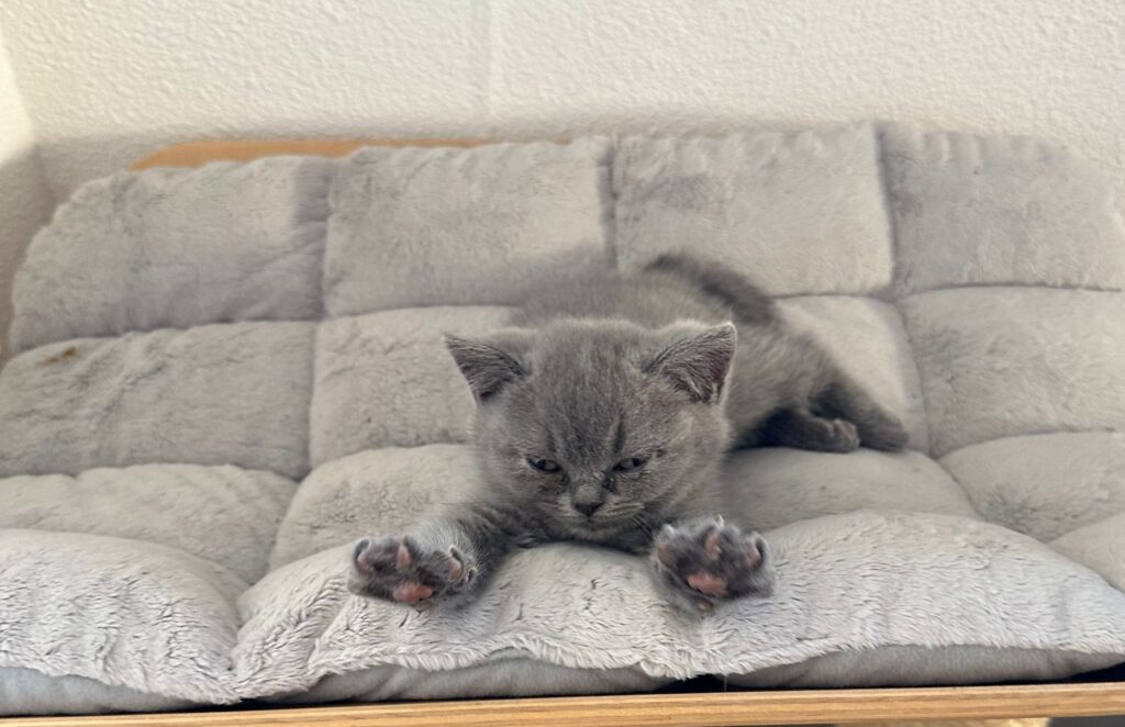 WhatsApp Image 2024-06-19 at 19.41.47